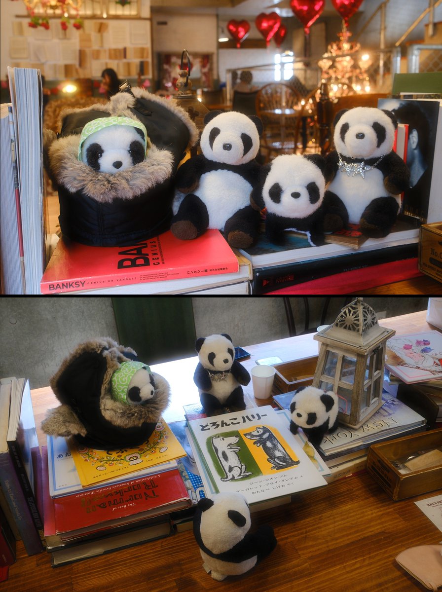 ふともも手帖 tweet media