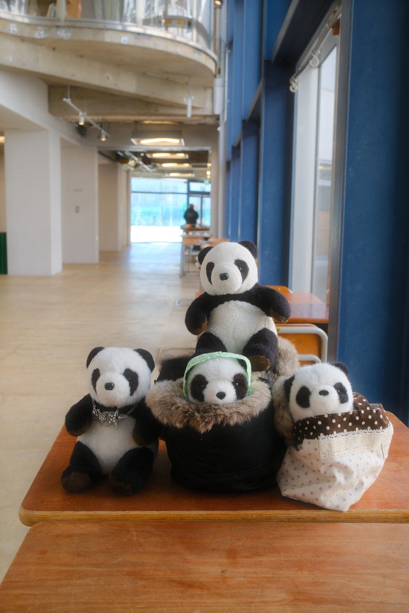 ふともも手帖 tweet media