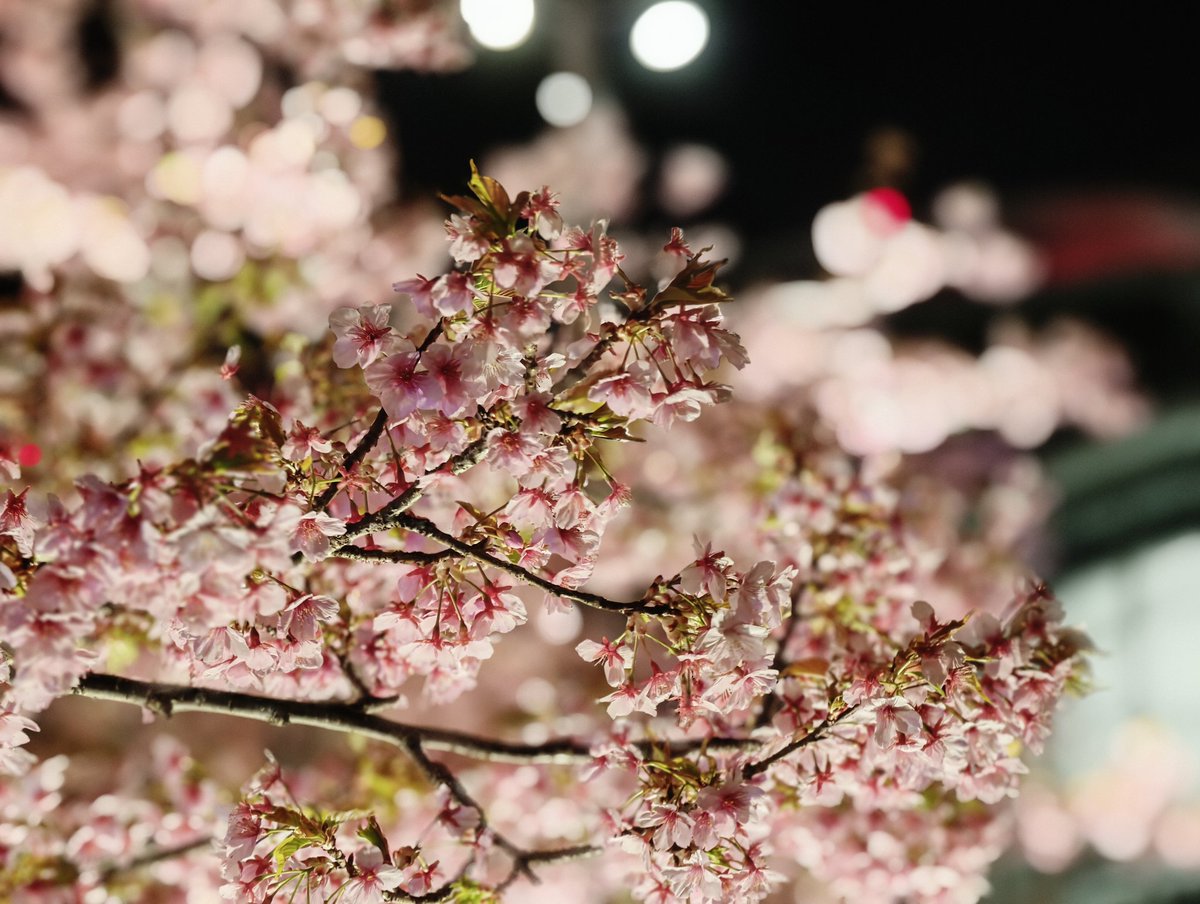 しれんと tweet media