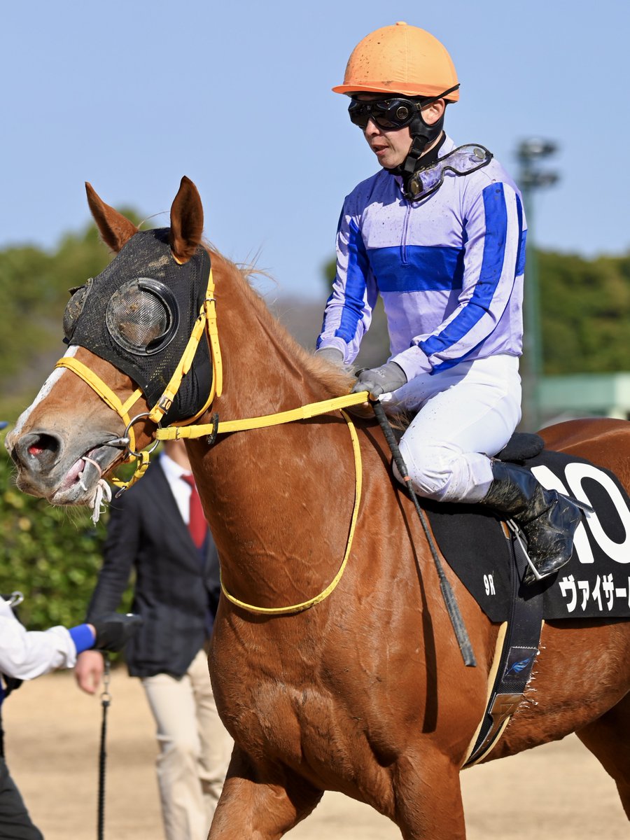 しろうま厩舎 (@shiroumakyusya) / Posts / X