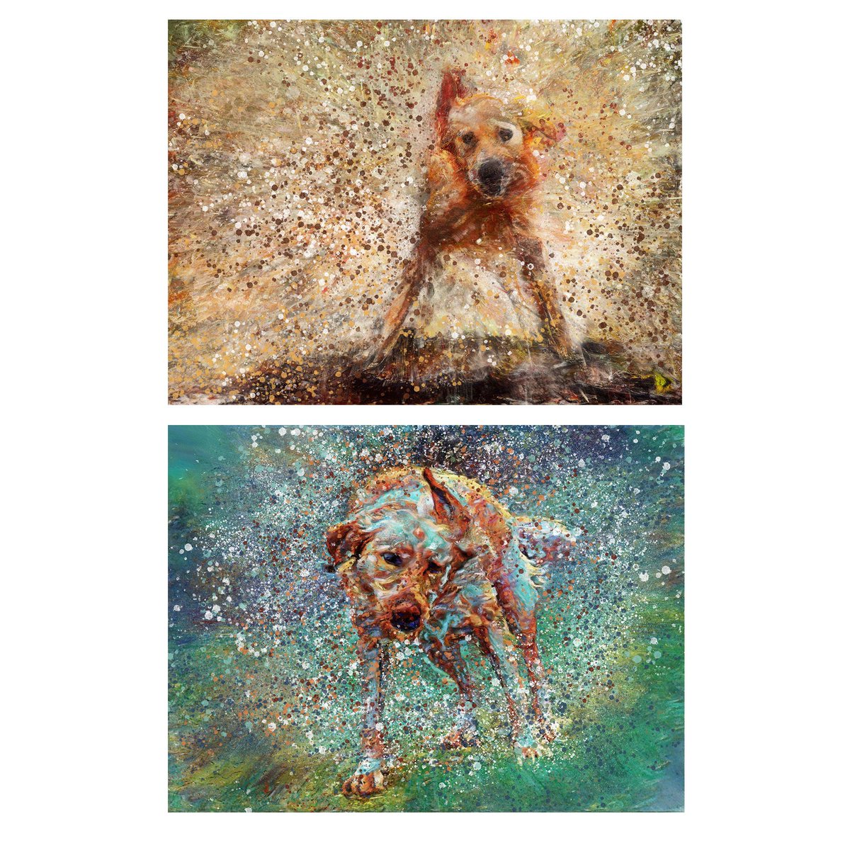 OscarJetson's tweet photo. Fox Red Lab Art Prints: Splashing Labrador Dog Memorial, Signed https://t.co/otNyTSFV2J #Etsy #DogFishArtCo #decor #art #FoxRed https://t.co/jGIkq1p2oE