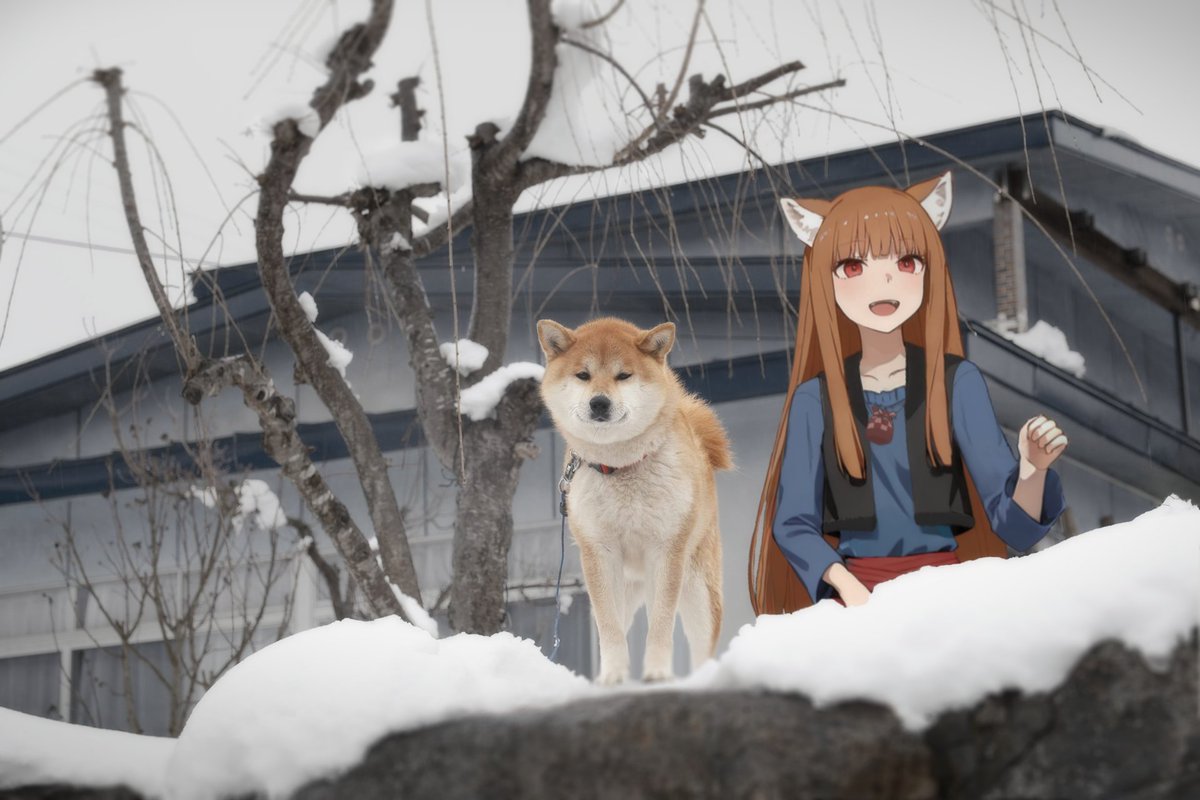 ひが犬 tweet media