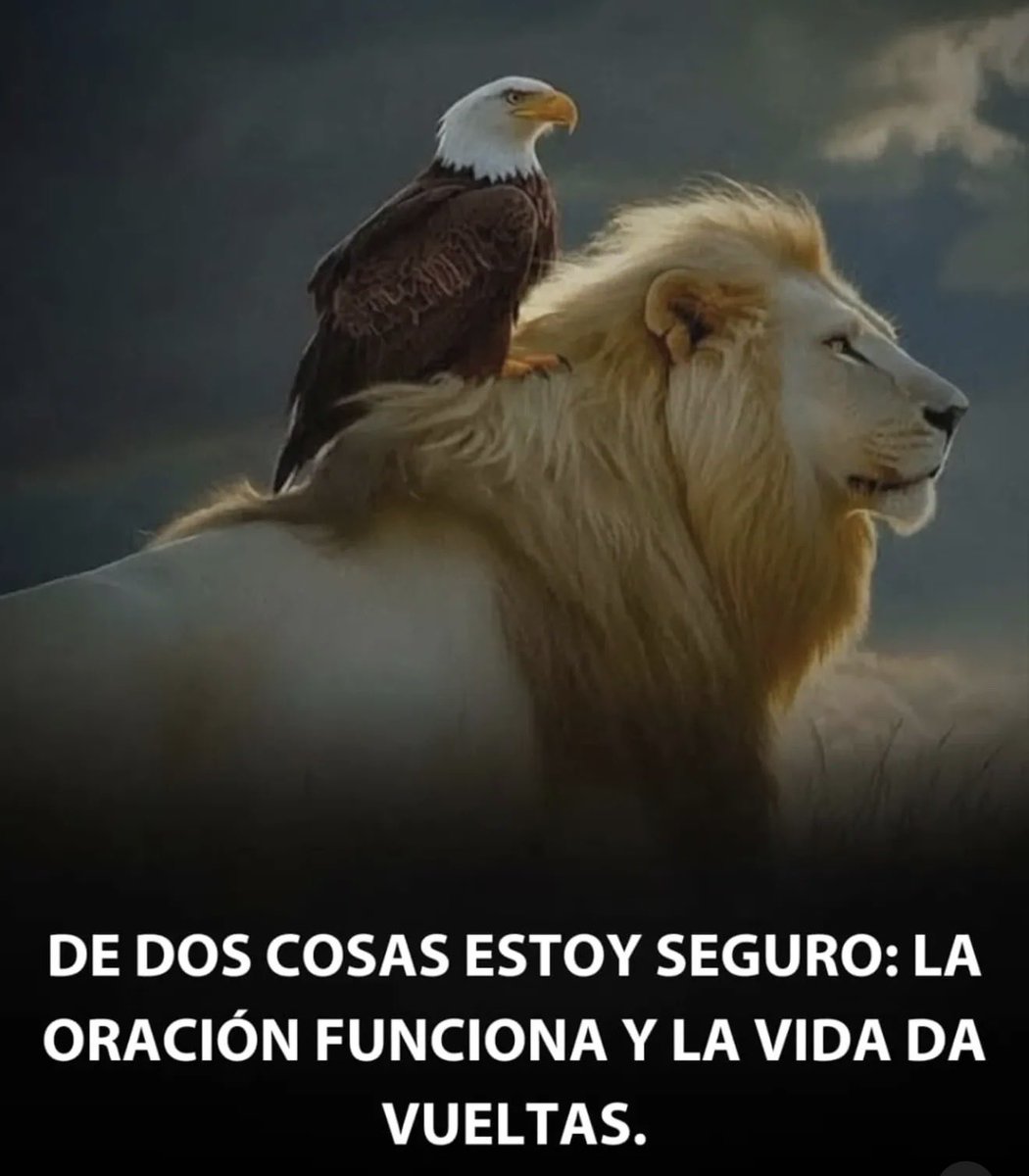 #FelizSábado
Ora por que la oración es el lenguaje del corazón.. La vida da vueltas campeón.
