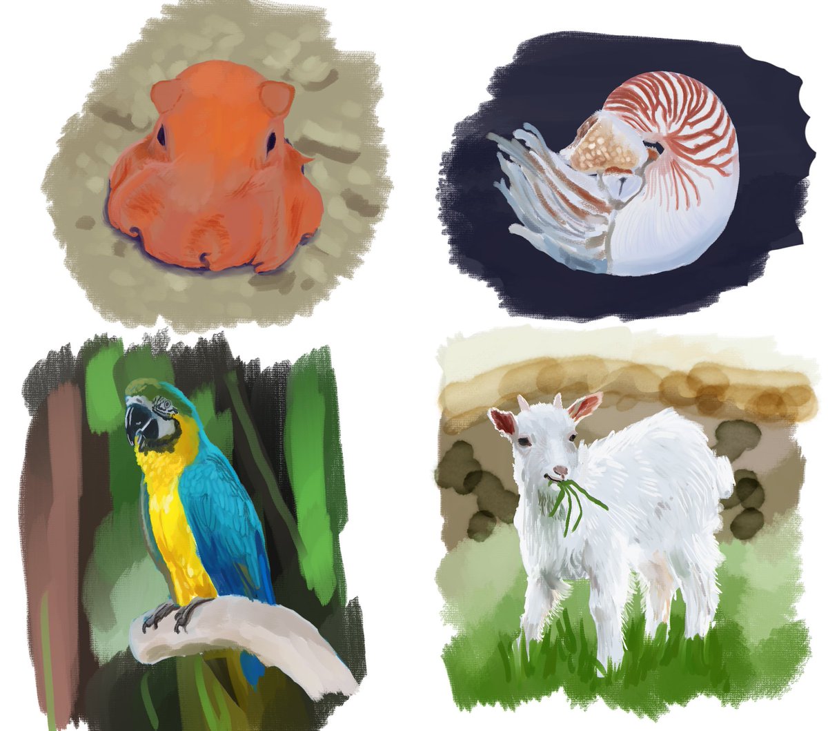 なんてーの（修行） tweet media