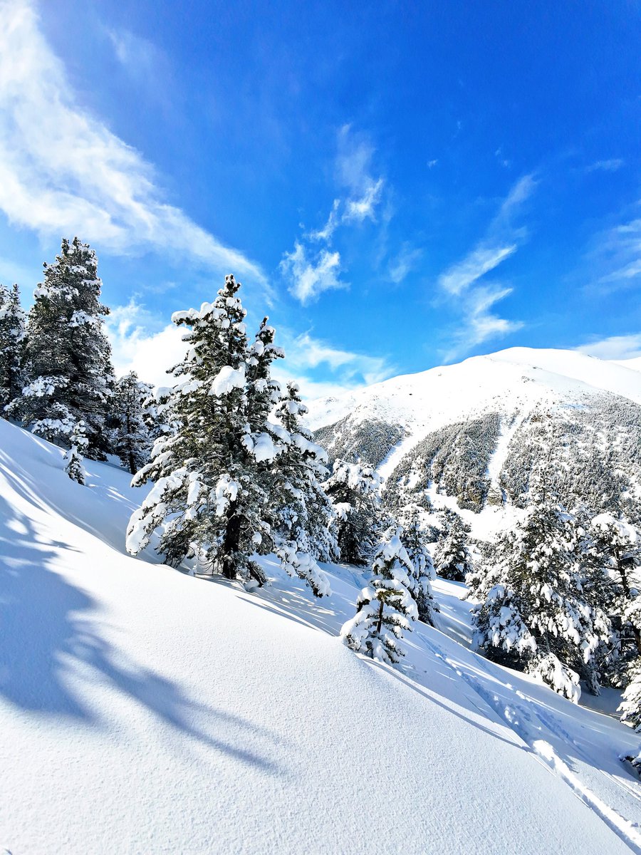Ripoll/es meteo tweet media