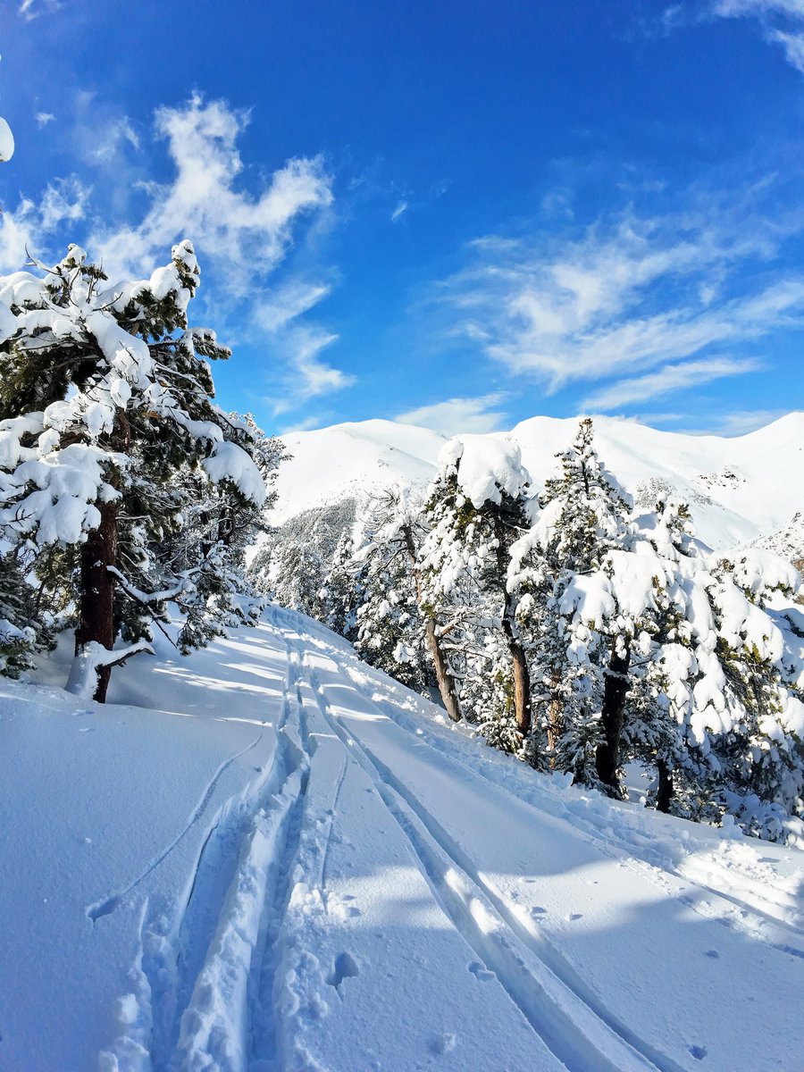 Ripoll/es meteo tweet media