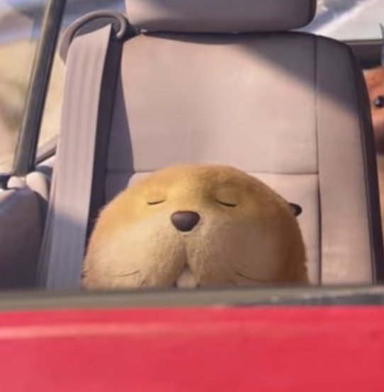 Loaf just vibing 😌