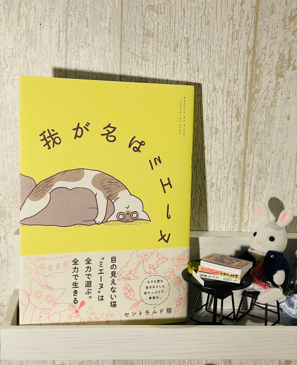 我が名はミエーヌ