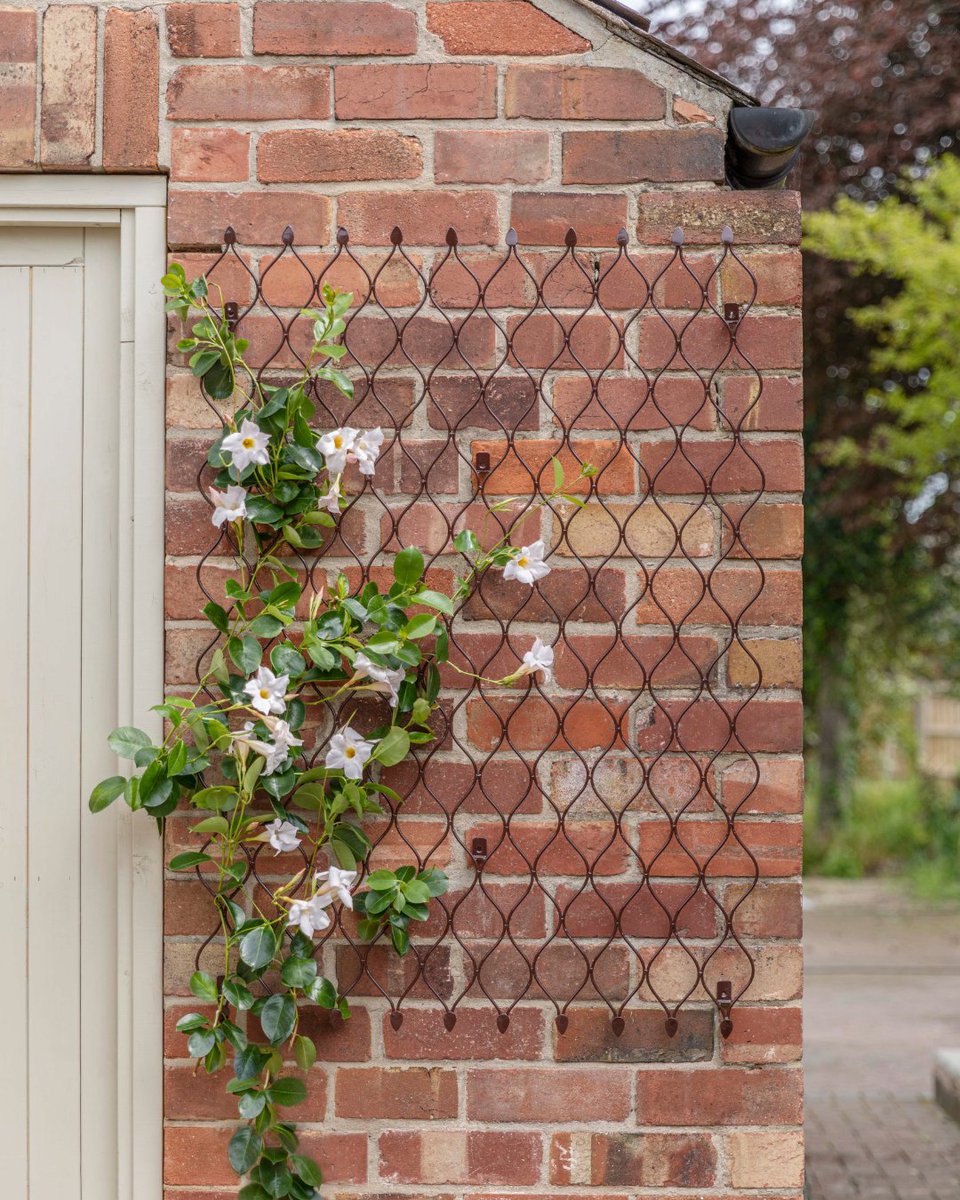 🌱 Spring is on the way! Time to get the garden ready.

What’s the first job on your garden to-do list? 

#SpringGarden #GardenPrep #SpringReady #GardeningLife