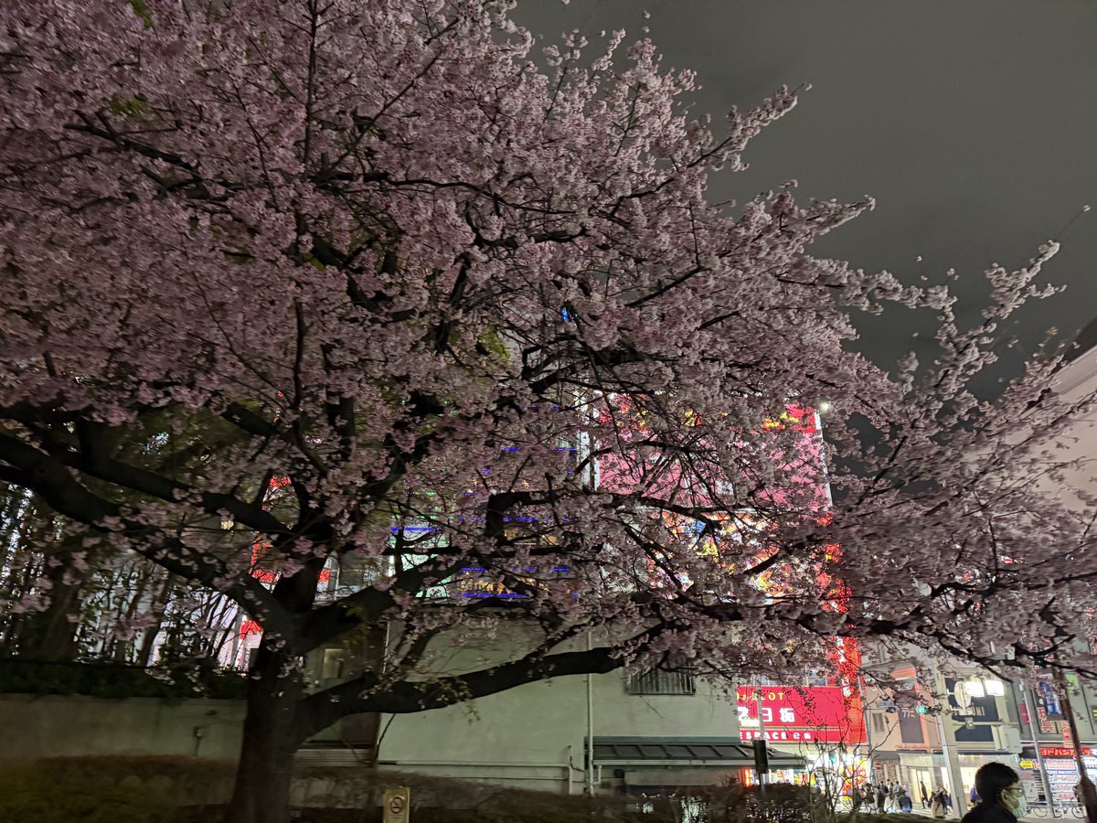 hnd6cr's tweet photo. うえの〜 https://t.co/spq4raVkr1