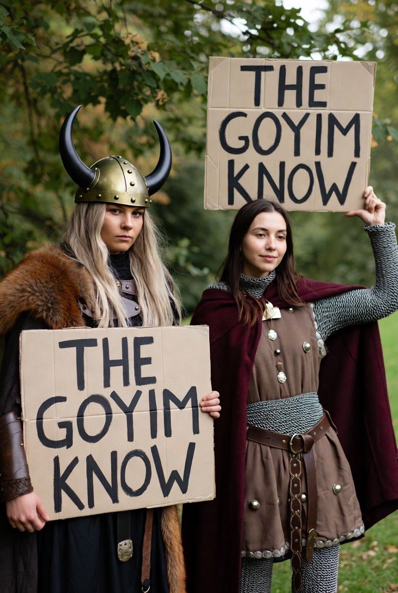 Trust The Plan Coin $Goy tweet media