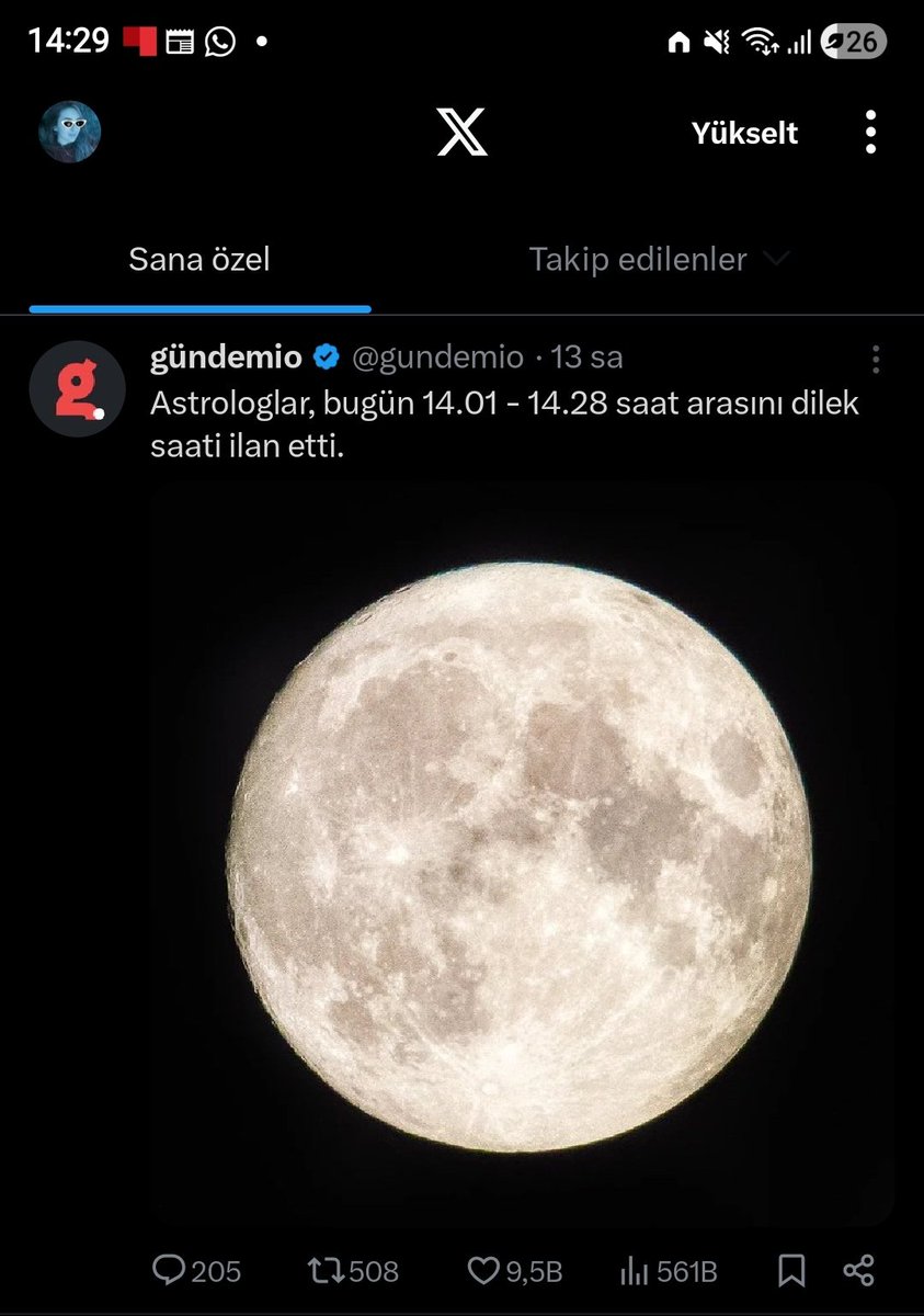 ninamozarella's tweet photo. https://t.co/TIDAC51gQR