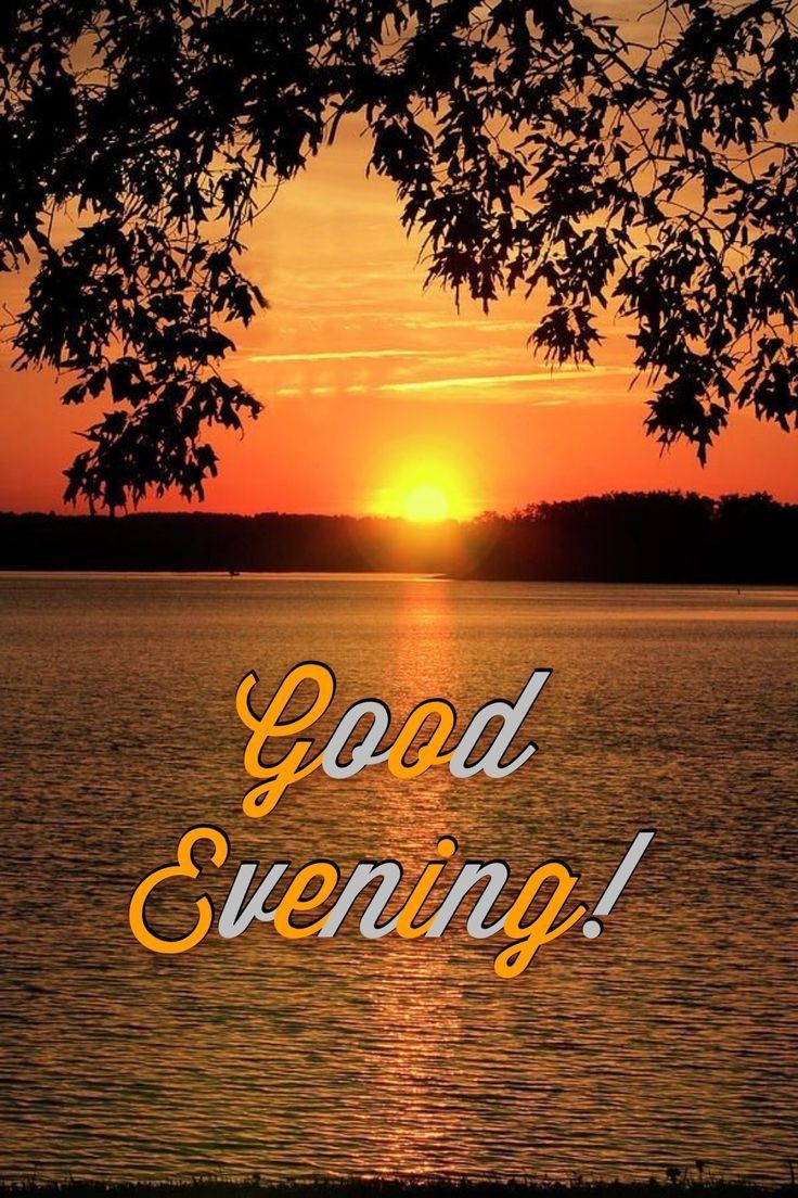 Good evening.✨️
The small good things you did today will return as great happiness tomorrow.