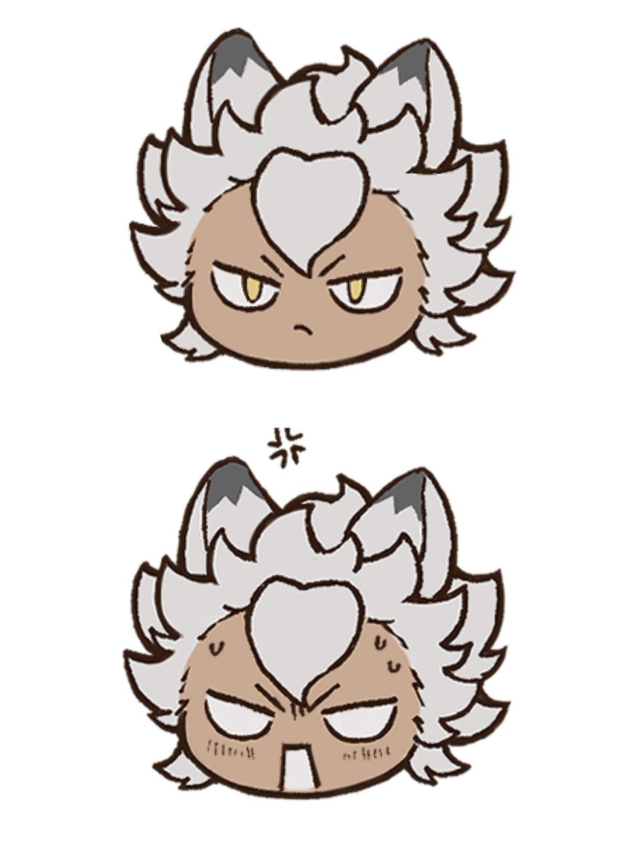 茶茶原愛🌱🐺🍪 tweet media