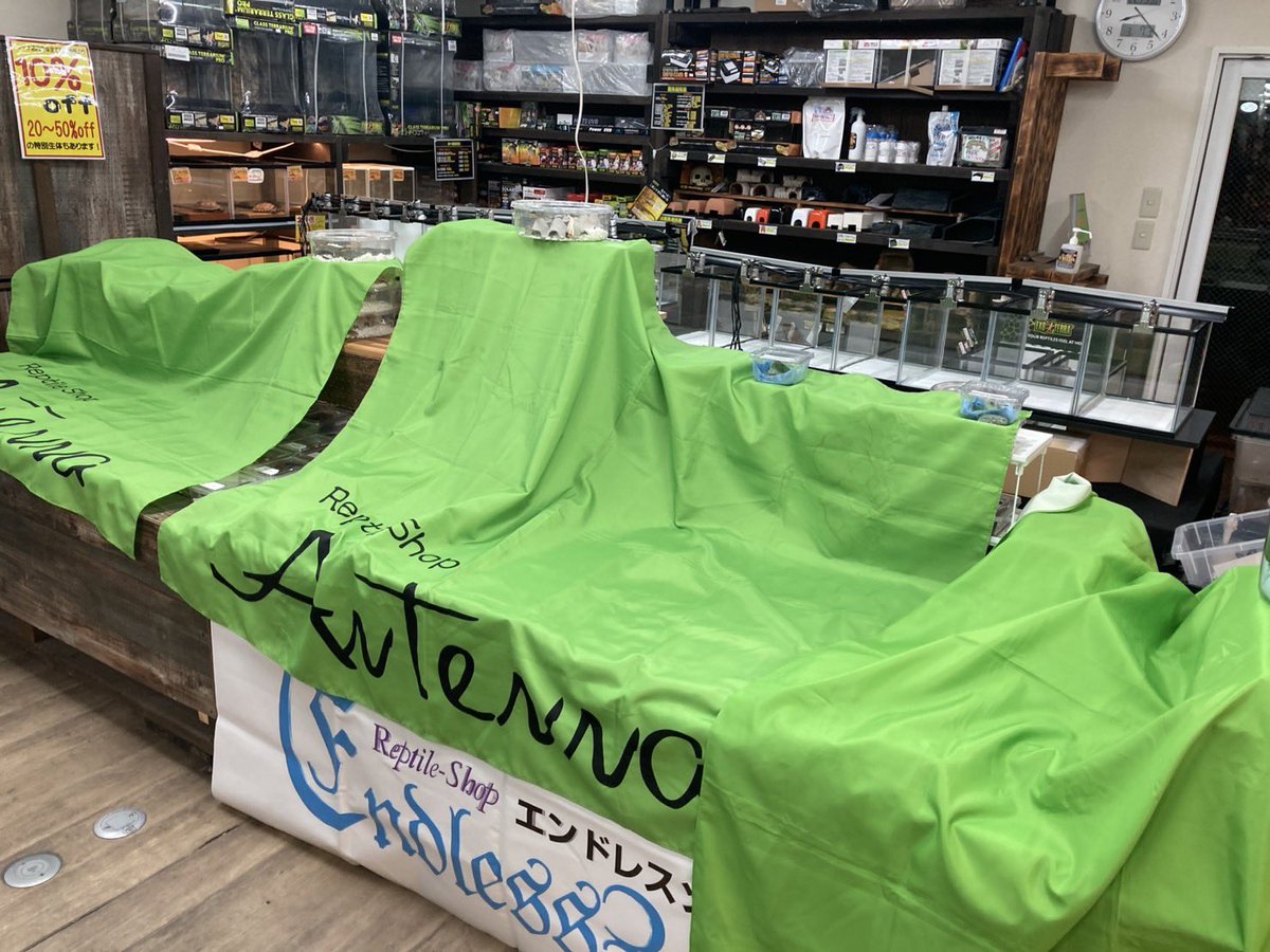 爬虫類ショップアンテナ 【井尻店】 tweet media