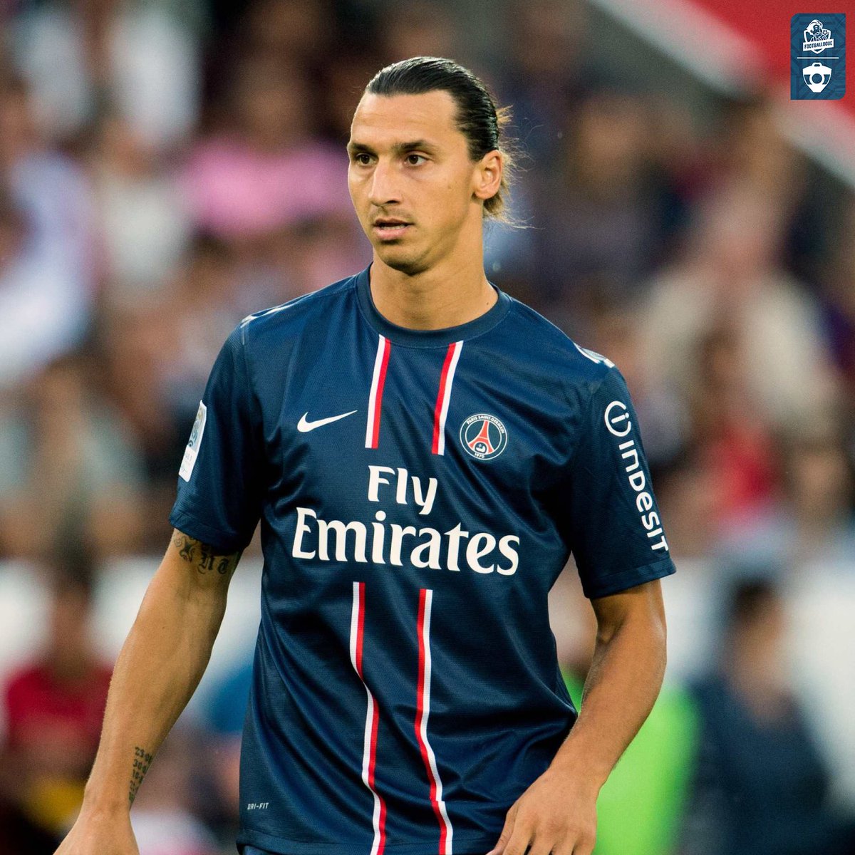 Footballogue's tweet photo. Cette réponse de Guillaume Hoarau quand on lui demande quel est 𝗟𝗘 𝗠𝗘𝗜𝗟𝗟𝗘𝗨𝗥 𝗝𝗢𝗨𝗘𝗨𝗥 𝗔𝗩𝗘𝗖 𝗤𝗨𝗜 𝗜𝗟 𝗔 𝗝𝗢𝗨𝗘́ dans sa carrière ! 😆😆

"Zlatan Ibrahimovic. 𝗜𝗹 𝗺'𝗮𝗽𝗽𝗲𝗹𝗮𝗶𝘁 𝗭𝗶𝗴𝗴𝘆 𝗠𝗮𝗿𝗹𝗲𝘆, 𝗰𝗼𝗺𝗺𝗲 𝗹𝗲 𝗳𝗶𝗹𝘀 𝗱𝗲 𝗕𝗼𝗯. Une fois, il vient me voir sous la douche : 

'𝗧𝗼𝗶, 𝘁'𝗮𝗿𝗿𝗶𝘃𝗲𝘀, 𝘁𝘂 𝗰𝗵𝗮𝗻𝘁𝗲𝘀 𝘁𝗼𝗻 𝗿𝗲𝗴𝗴𝗮𝗲 𝗲𝘁 𝘁𝘂 𝗻𝗲 𝗳𝗮𝗶𝘀 𝗷𝗮𝗺𝗮𝗶𝘀 𝗹𝗮 𝗴𝘂𝗲𝘂𝗹𝗲. 𝗖𝗼𝗺𝗺𝗲𝗻𝘁 𝗰'𝗲𝘀𝘁 𝗽𝗼𝘀𝘀𝗶𝗯𝗹𝗲 ?'. 

J'aurais pu bouder car je ne jouais pas. Mais c'est Ibra, il n'y a pas de mal à se dire : '𝗟𝗮̀, 𝗷𝗲 𝗻𝗲 𝗽𝗲𝘂𝘅 𝗽𝗮𝘀 𝗹𝘂𝘁𝘁𝗲𝗿'. 

C'était une bête physique et c'était très fort techniquement. 𝗝'𝗔𝗨𝗥𝗔𝗜𝗦 𝗔𝗜𝗠𝗘́ 𝗘̂𝗧𝗥𝗘 𝗖𝗜𝗡𝗤 𝗠𝗜𝗡𝗨𝗧𝗘𝗦 𝗖𝗢𝗠𝗠𝗘 𝗟𝗨𝗜."

(L'Équipe)