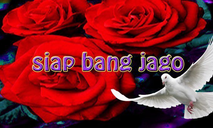 pakpol_xavier's tweet photo. @kades_philos https://t.co/qZ8mqBAxrp
