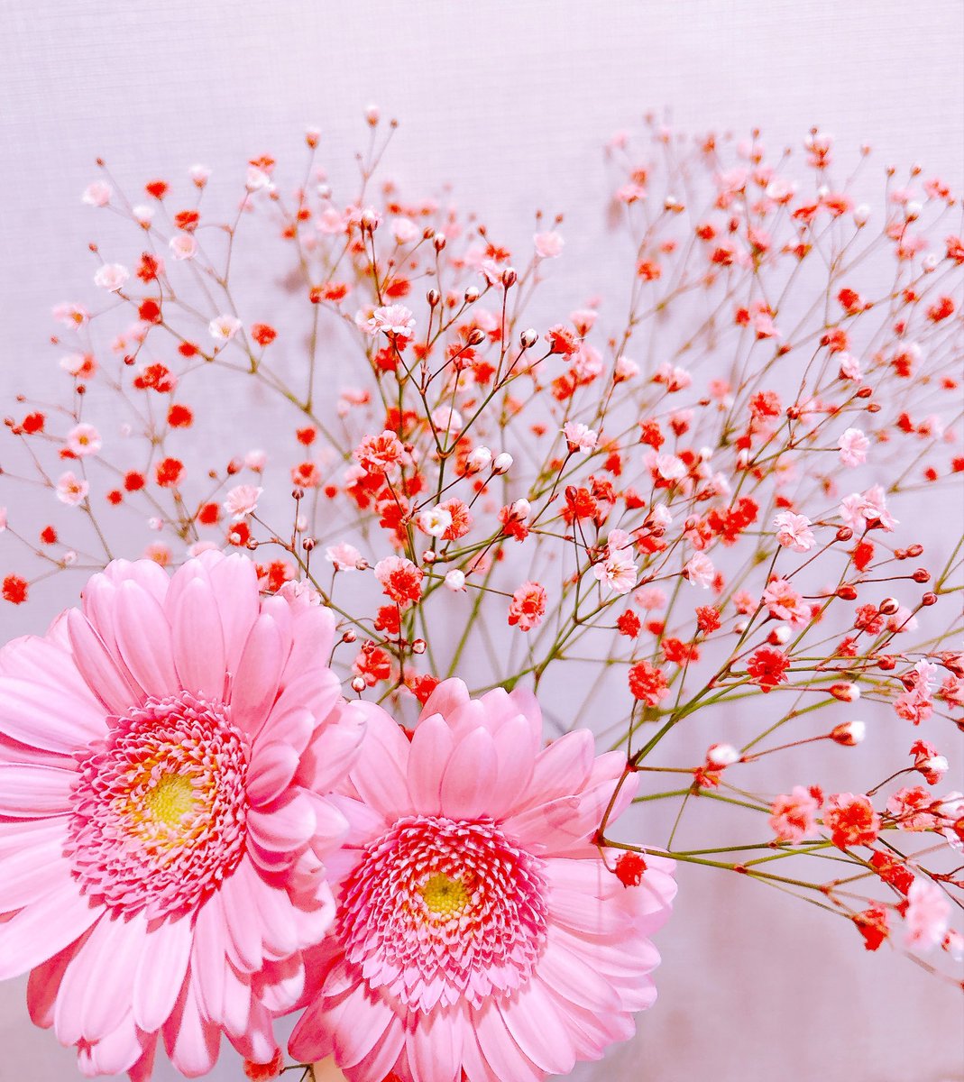 dUhsgiLfIFSW8LW's tweet photo. 習い事を1つ増やそうかと体験に行ってきた🌸終わったあと「どう？続けるで良い？」と念のため聞くと「うん！通いたい！！」とのこと🌸楽しんでくれる限り続けてみる🌸帰りはお花を選んでくれて、お茶しながら自撮りをしようとするとニコニコポーズをとってくれて、もうなんていうか最近本当に楽しい🌸 https://t.co/sbgjTpGRNx