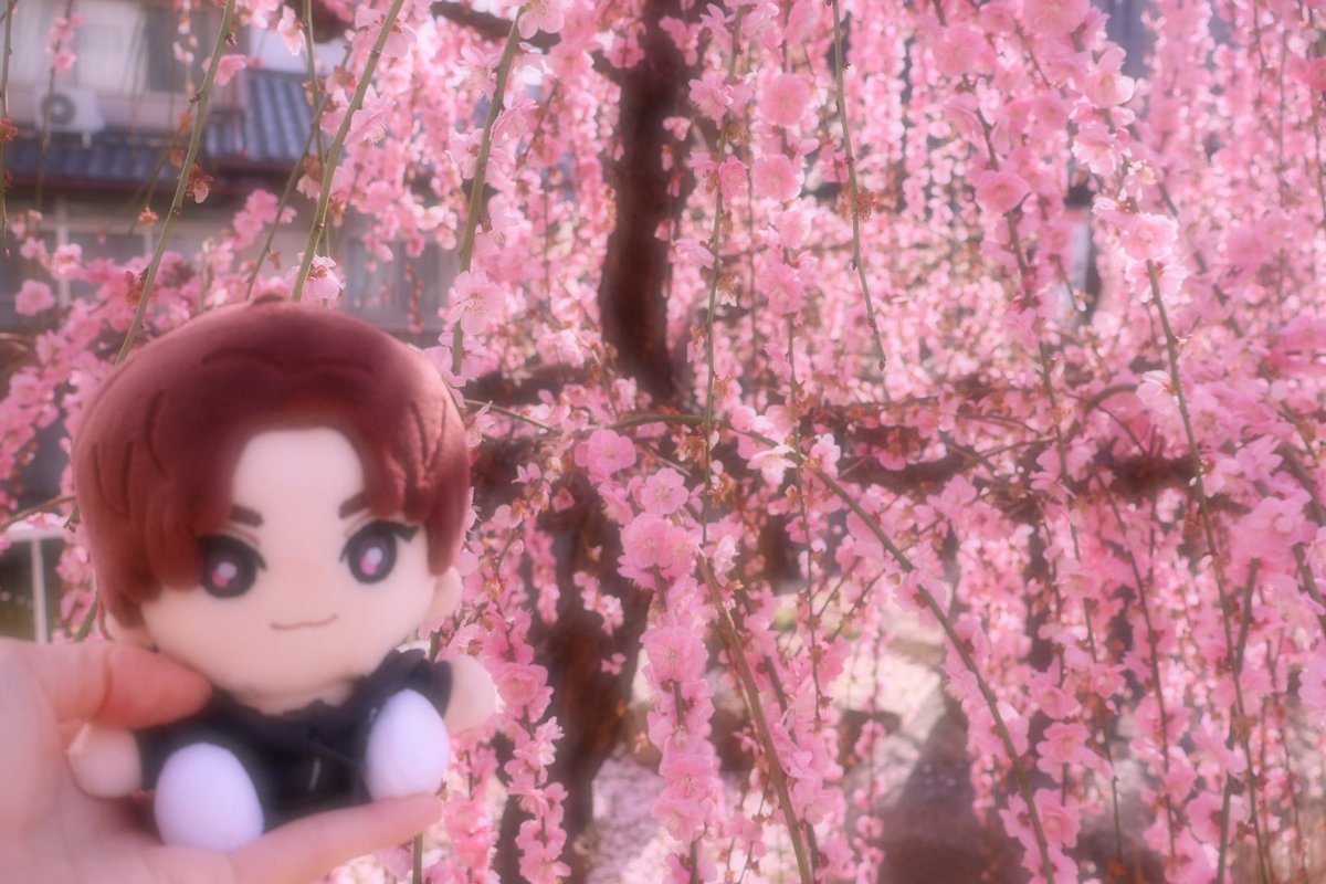 なっつ tweet media