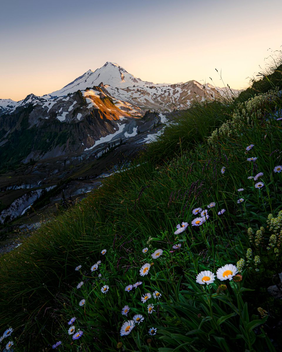 worldclick56's tweet photo. Mount Rainier, Washington 🇺🇲 https://t.co/ovhKmQ2sfW