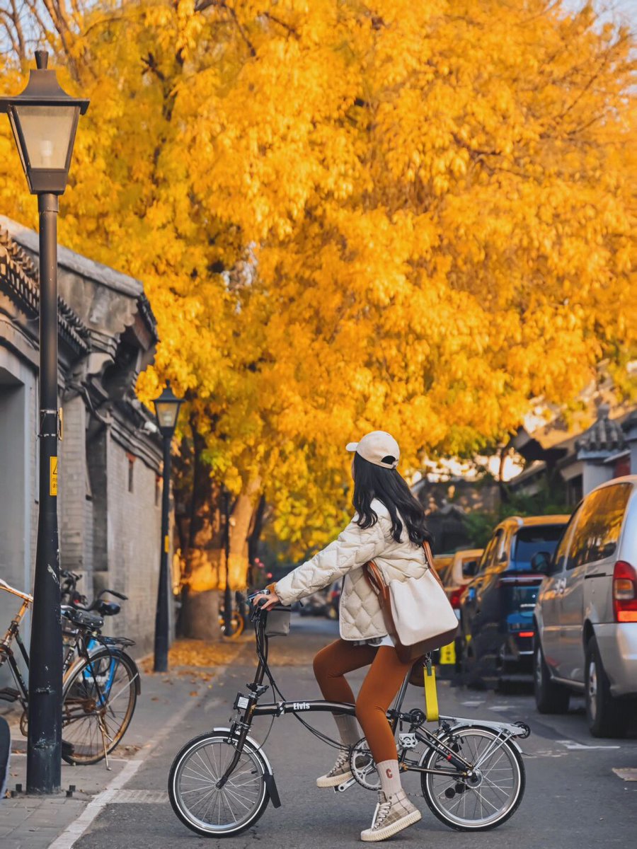 Stcok Pettarnn Pors/Tim Trading Advisor tweet media