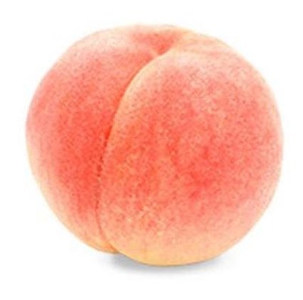 gary traill tweet media