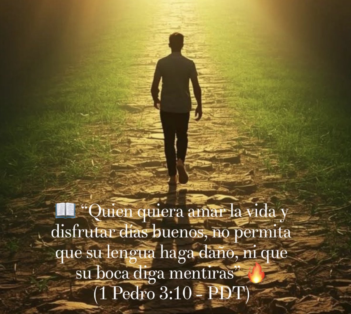 #SuPalabraEsVida Esto es Palabra de DIOS a la cual hacemos bien en leer, oír y obedecer 🙌🏻🙏🏻✝️🦅