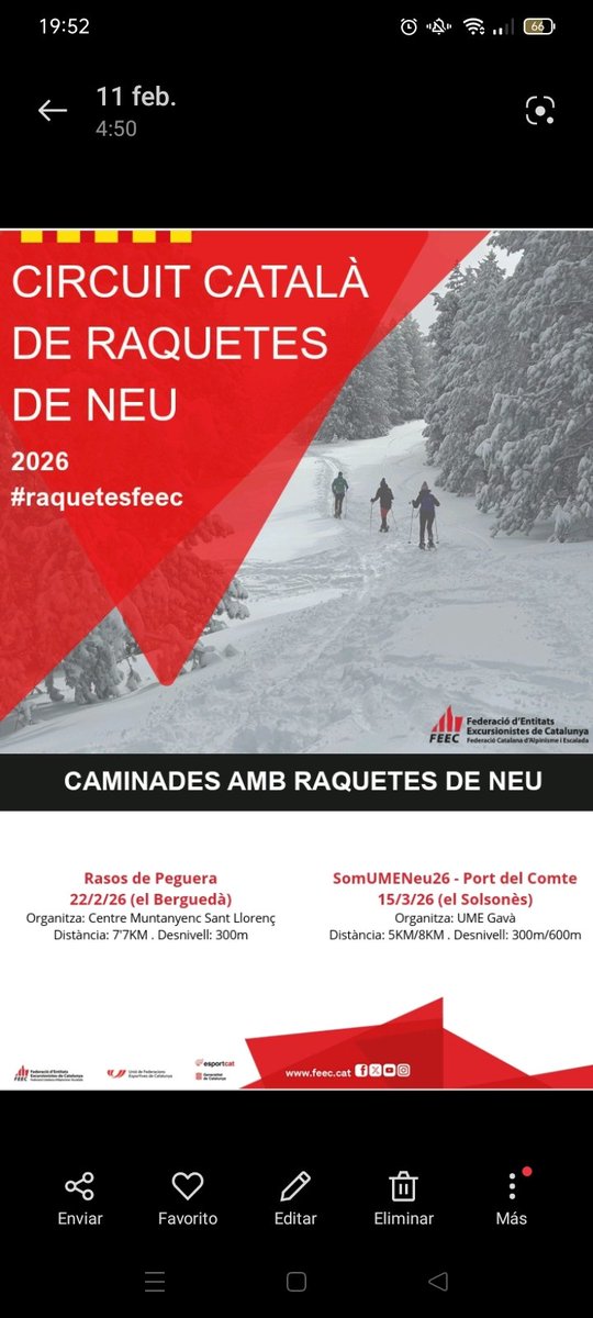 Raquetesdeneu tweet media