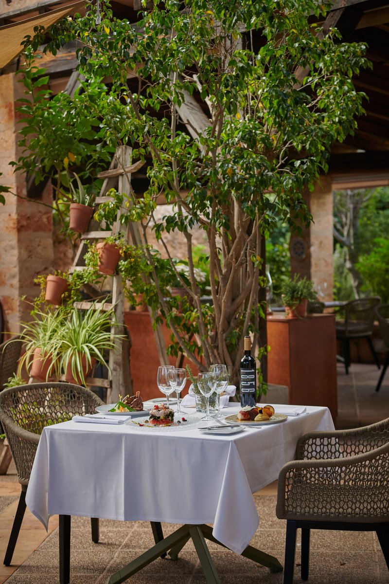 Protur Hotels tweet media