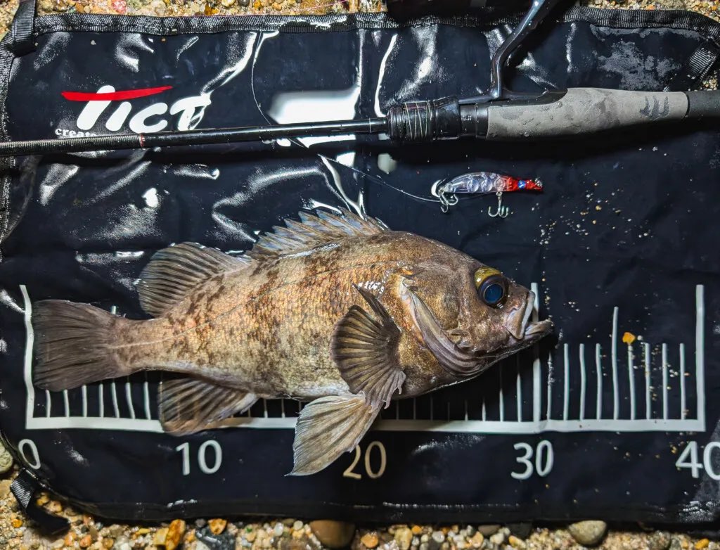 TICT(ティクト) tweet media