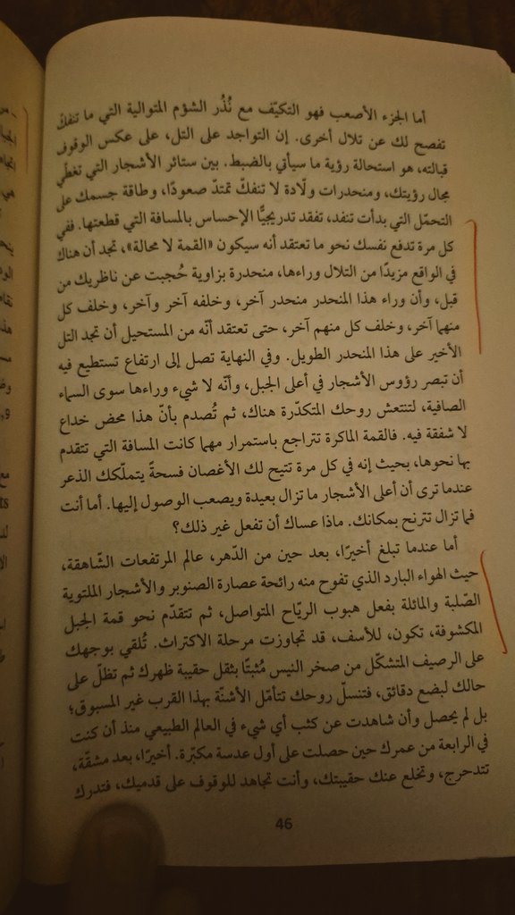 محمد عبدالعزيز الهجين tweet media