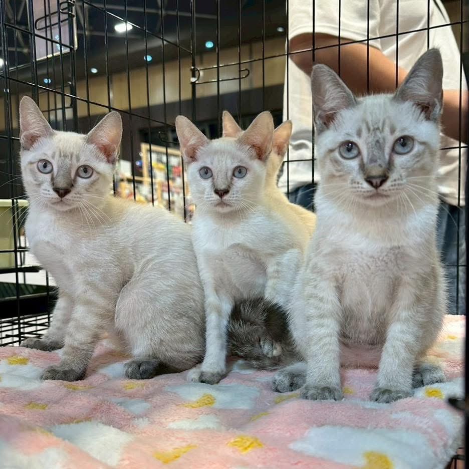 มีเงินล้านจิ๋วๆ ตั้ง4ล้านเลยน่ะ