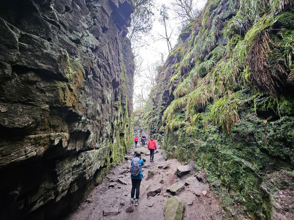 Gareth Icke tweet media