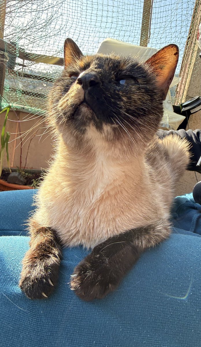 Wann haben wir verlernt?