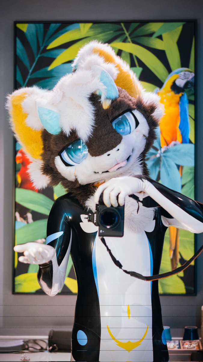 牵比绒Kibi tweet media