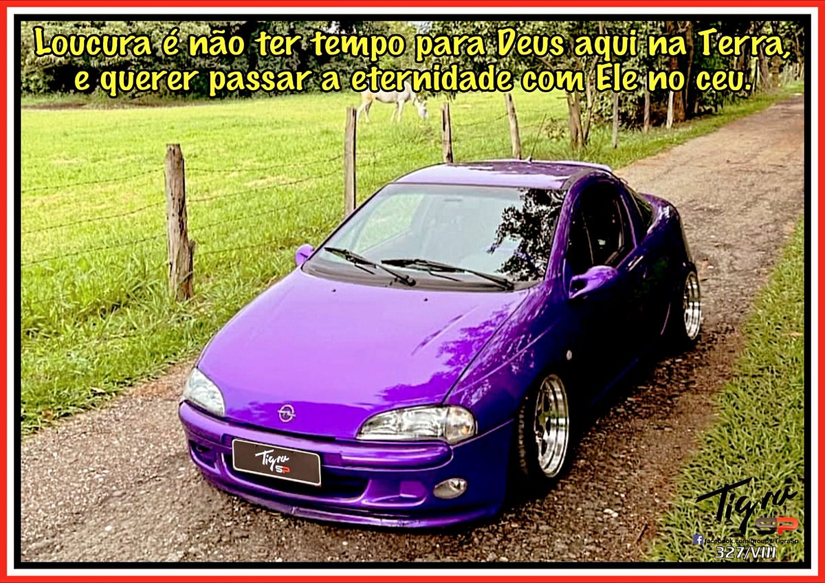 Osmar 🐰 (@gomestst) on Twitter photo 