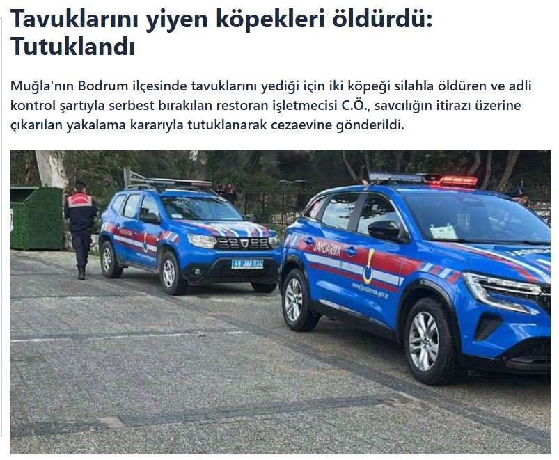 Tavuklarını yiyen başıboş saldırgan köpekleri vuruyor ve hapse giriyor. Şimdi itperestler o bölgeye daha çok köpek yığacak ve kalan tavuklar da gidecek.

O köpekleri tavuklarına musallat eden itperesti bulup vursa belki daha az ceza alırdı ve kimse oraya korkudan köpek yığamazdı.