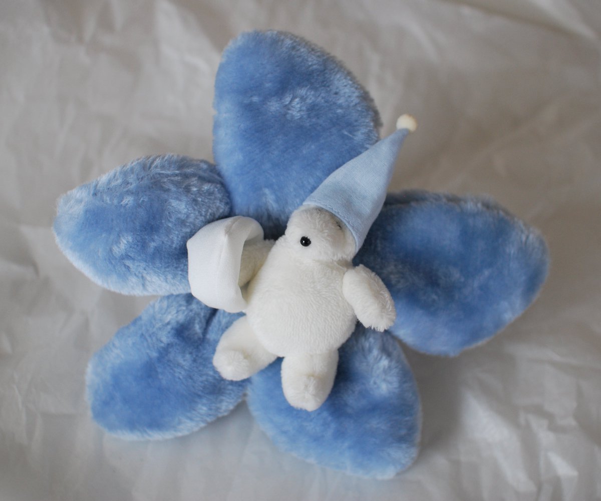 カネヒラ (@simainusima) / Posts / X