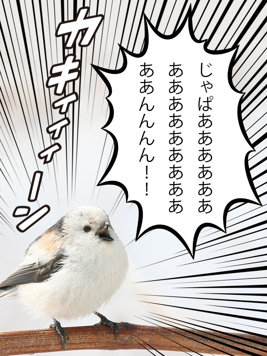 （・▴・）＿/ 彡⚾️⚾️⚾️