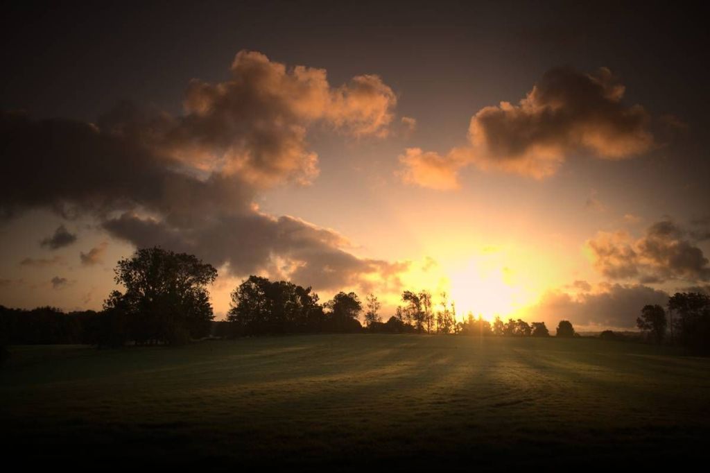 Fibro Bloggers tweet media