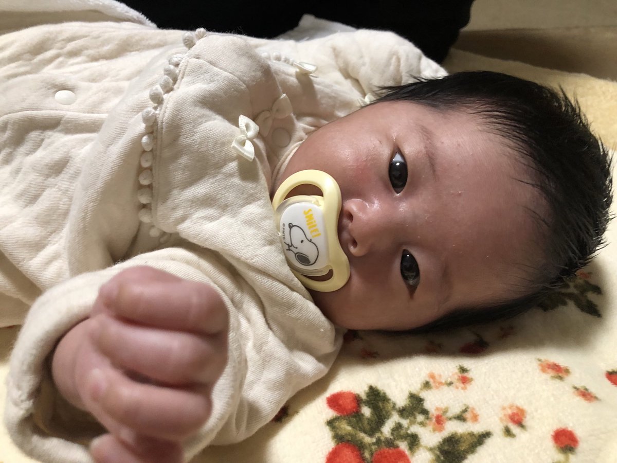 長い体調不良の原因は「喘息」でした。
幼少期から小学生まで小児喘息でした。
今回は咳喘息。最低半年、薬と吸入薬を継続します。

2月12日に生まれた「ま〜ちゃん」
来週火曜日に帰るそうです。。。

大きな病気せんで、スクスク育ってほしいですね☺️

寂しかなあ。。。まあ家は近いけど😆

#孫命