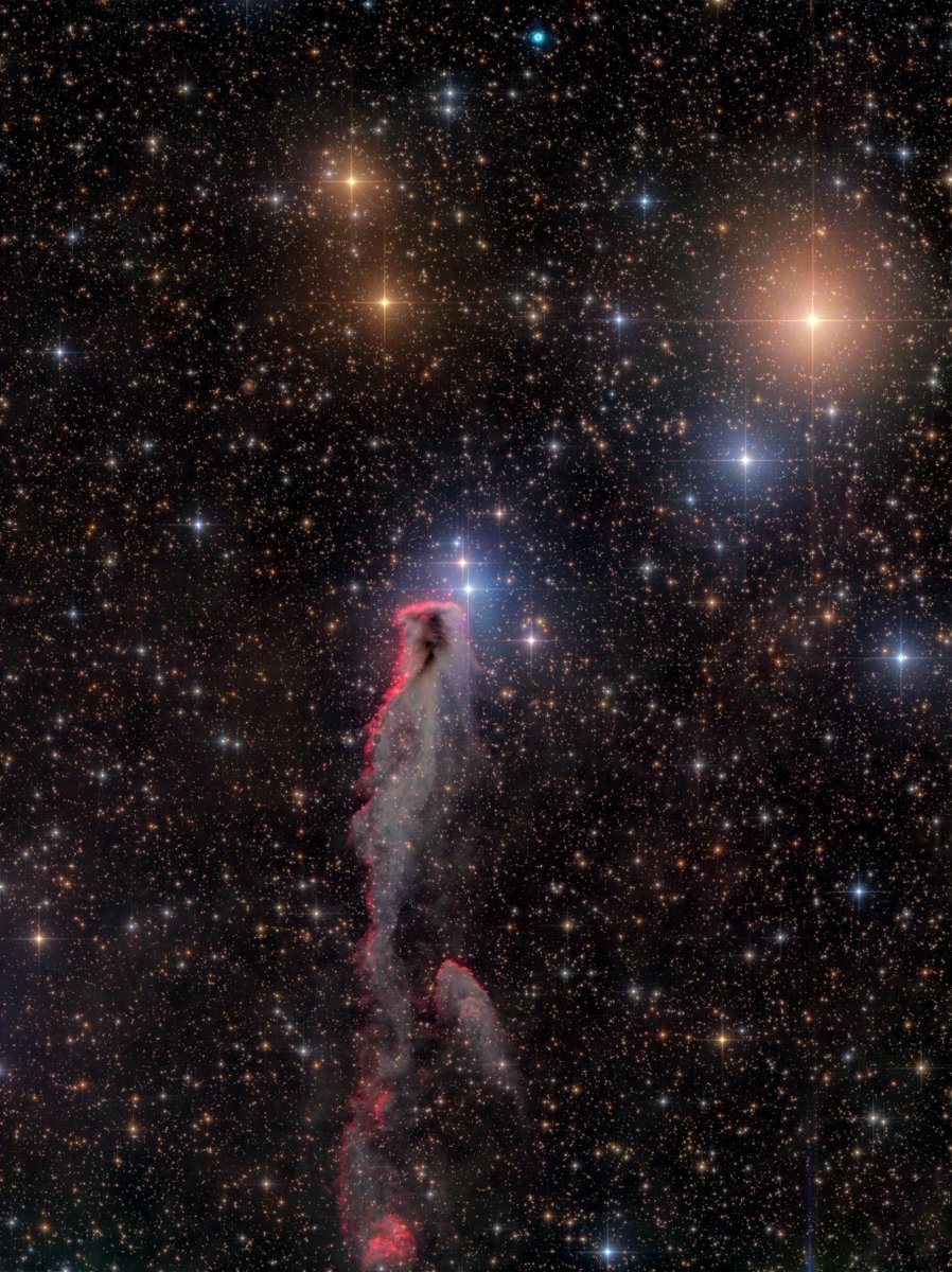 AstroBin.com tweet media