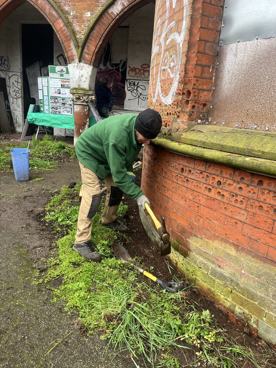 Ladywell Live tweet media