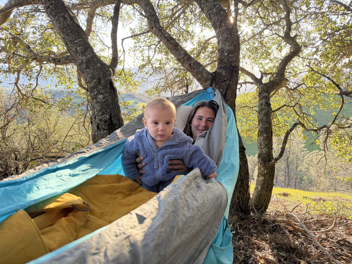 Richard Burton tweet media