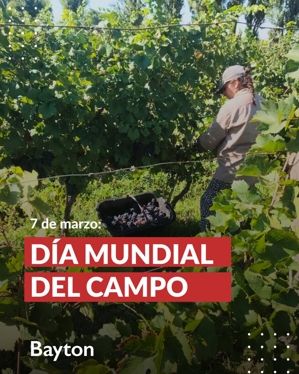El campo es el motor que moviliza al país 🚜

En Bayton impulsamos la producción agropecuaria encontrando los perfiles más adecuados para el sector🤝
#rrhh
