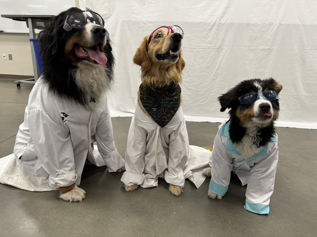 Bunsen, Beaker, Bernoulli & Brix tweet media