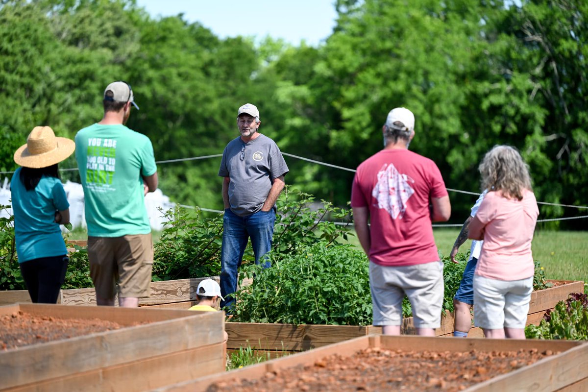 Old 96 District tweet media