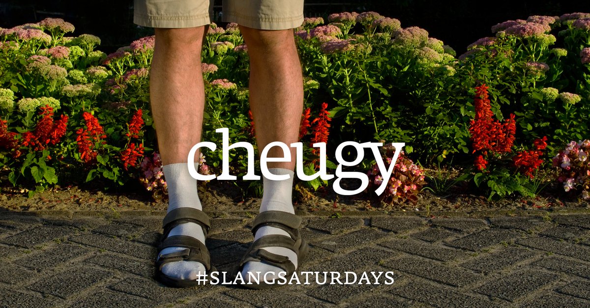 Collins Dictionary tweet media