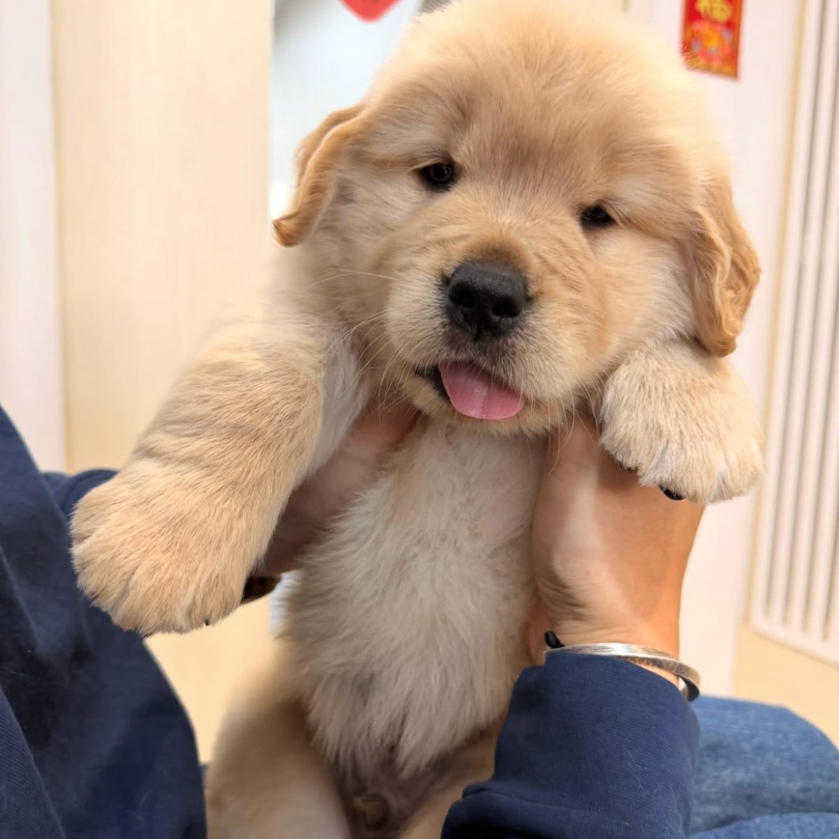 แน่จิงคุนก้หอมแก้มผมสิคับ