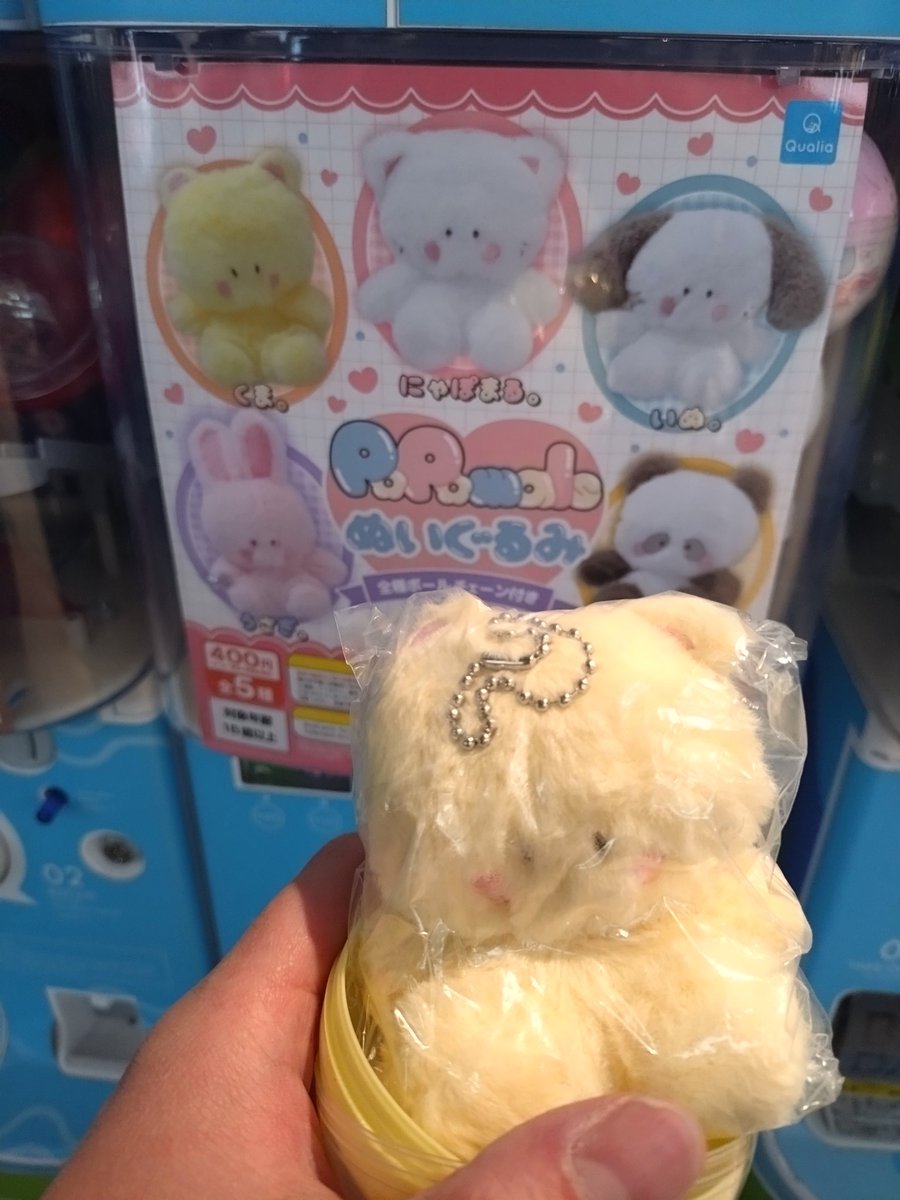 ねこぽた。 (@lllillli08) / Posts / X